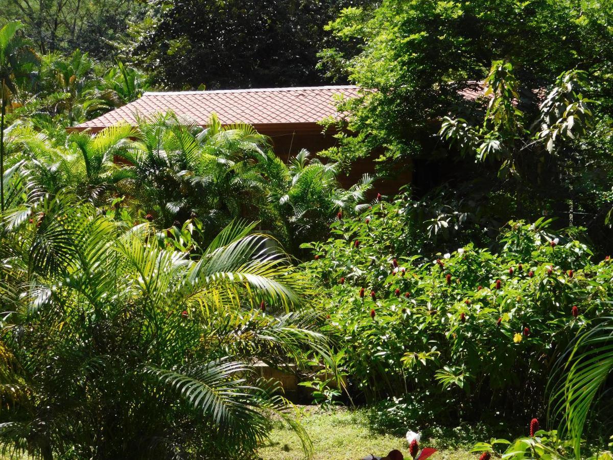 Villasjungle 2 Sámara Exterior foto
